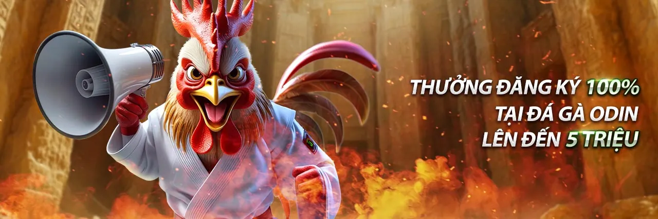 Hình ảnh hỗ trợ khách hàng Win2026vn