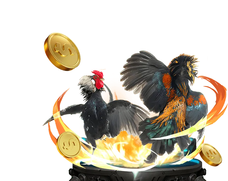 Giấy phép hoạt động và sự minh bạch